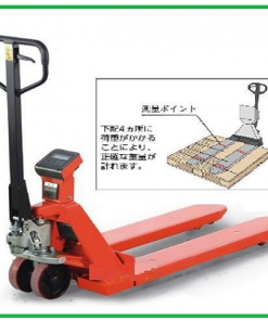 Xe nâng tay hiển thị điện tử 1000kg