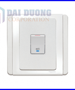 Công tắc 2 cực 45A E3031DR45_EWWW Schneider