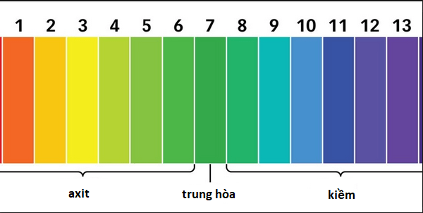 Top 9 cách đo độ pH trong nước đơn giản, hiệu quả
