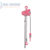 Palang khí nén 1 tấn TCR-1000PE
