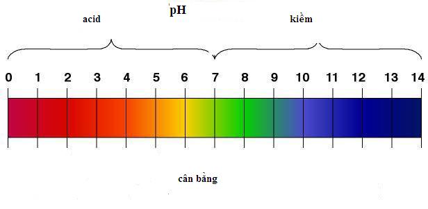Thang đo nồng độ pH